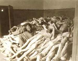 Corpses piled atop one another at one of Hitler's concentration camps.  There were not enough single issue voters in Germany at the time.  Too many ignored the horror because Hitler came through on many of his promises to them.  They followed the "live and let live" philosophy where Hitler was concerned, yet many were not allowed to live because of their complacency.